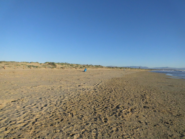 Strand in Guadamar de Segura