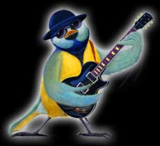 Freebird Bluesguitar Meise