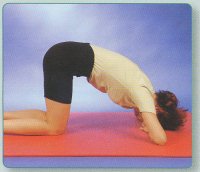 Dehnung hintere Beinmuskulatur