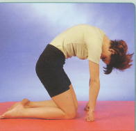 &Uuml;bung f&uuml;r Brust- und Halswirbels&auml;ule