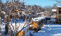 Heimstandwinter4