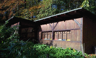 Lehrbienenhaus2