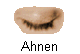  Ahnen 