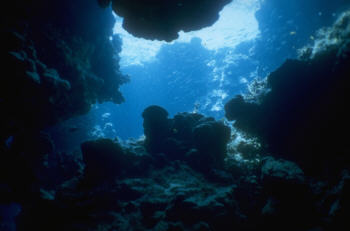 Blick aus einer Grotte