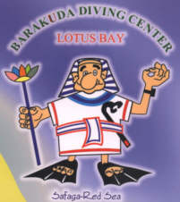 Logo Lotus Bay