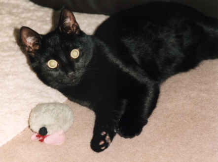 Mick mit Maus