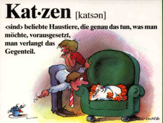Katzenbuch
